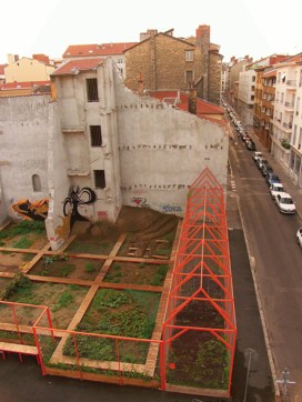 6-jardin-d-amaranthes