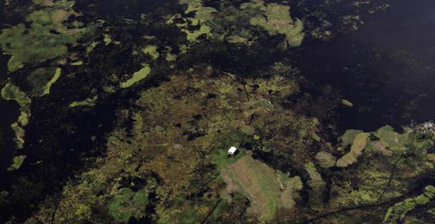 8 Immagine fotografata da satellite